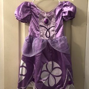 Sofia the First Dress